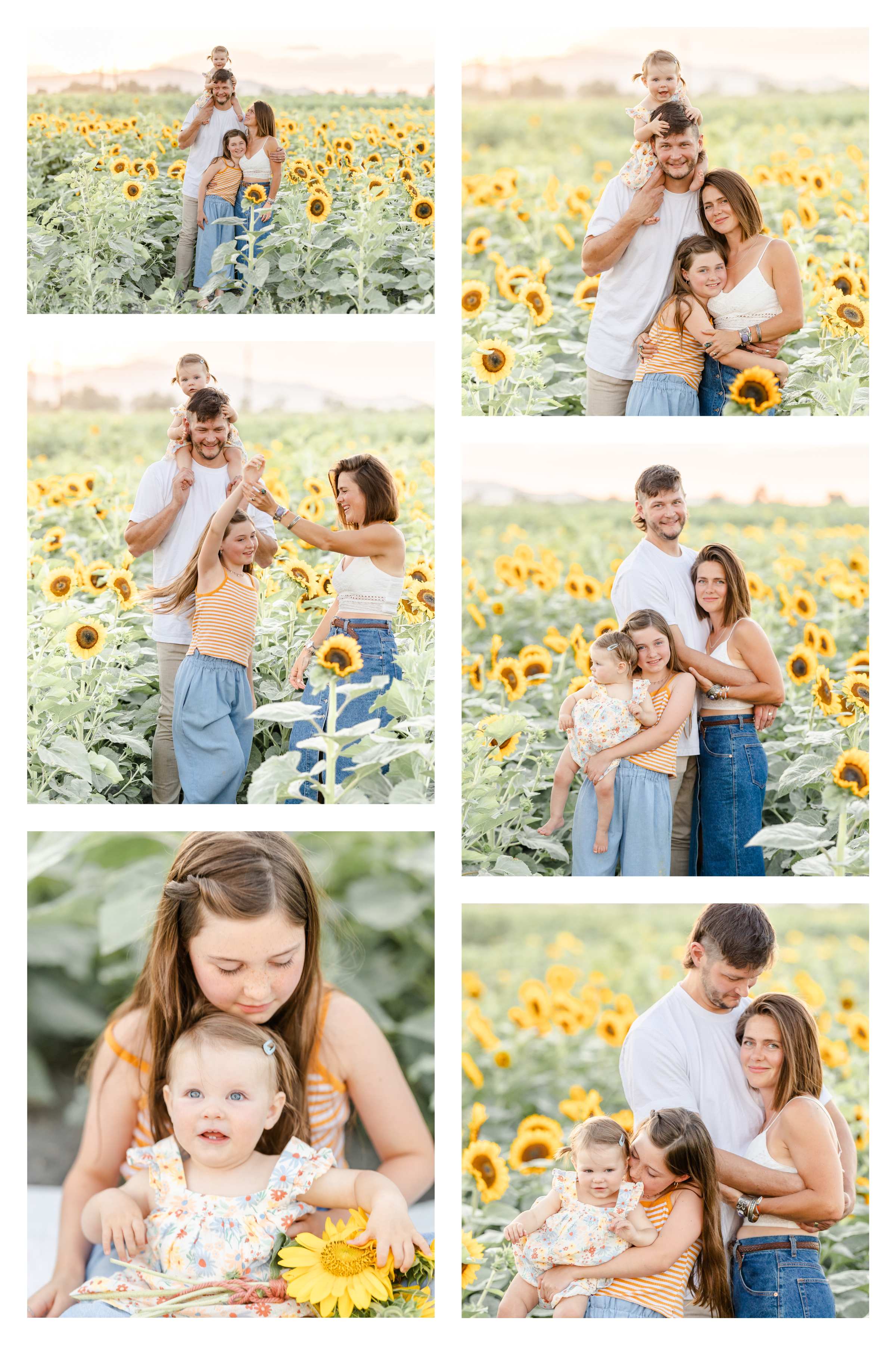 family photos in sacramento sunflower field